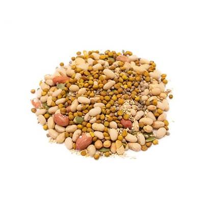  PERSIAN BITES